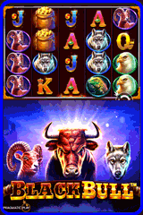 Black Bull - an amazing slots game by Pragmaticplay