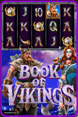 Book of Vikings - amazing Slot game